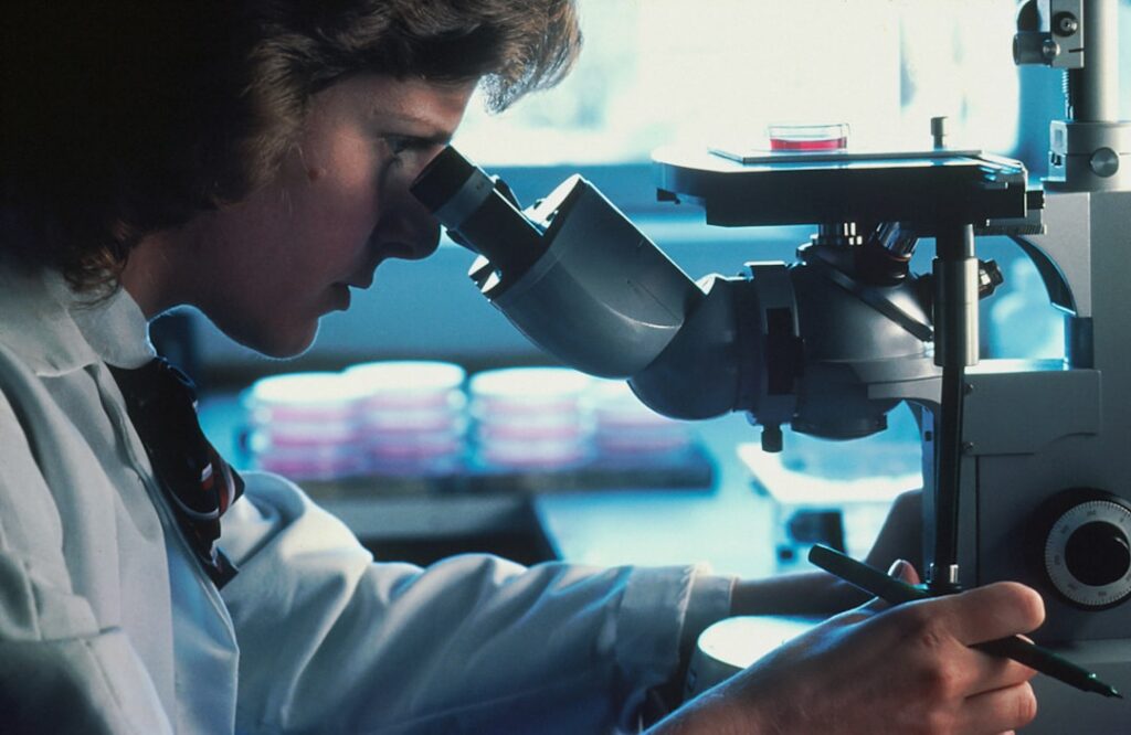 contract laboratory elemental analysis
